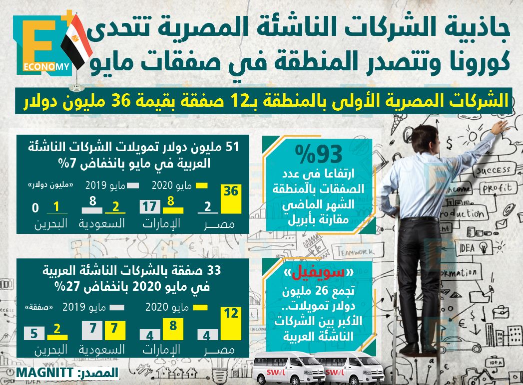 الشركات الناشئة المصرية