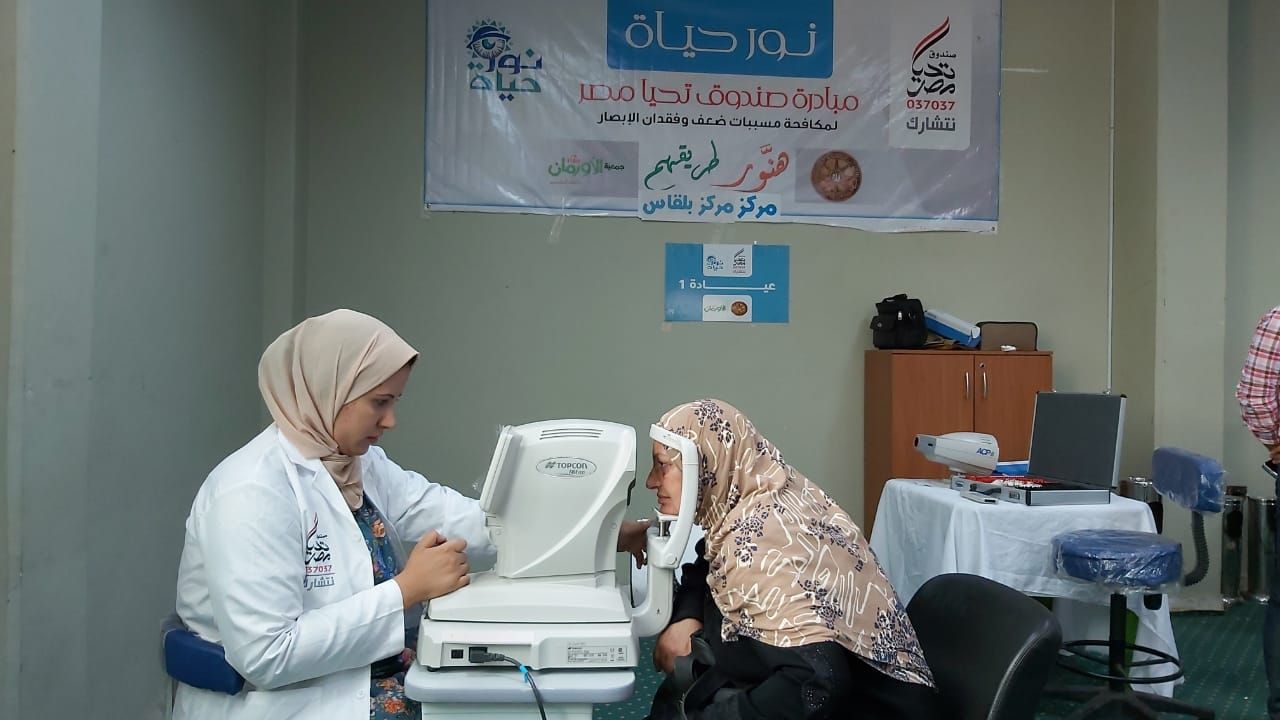صندوق تحيا مصر