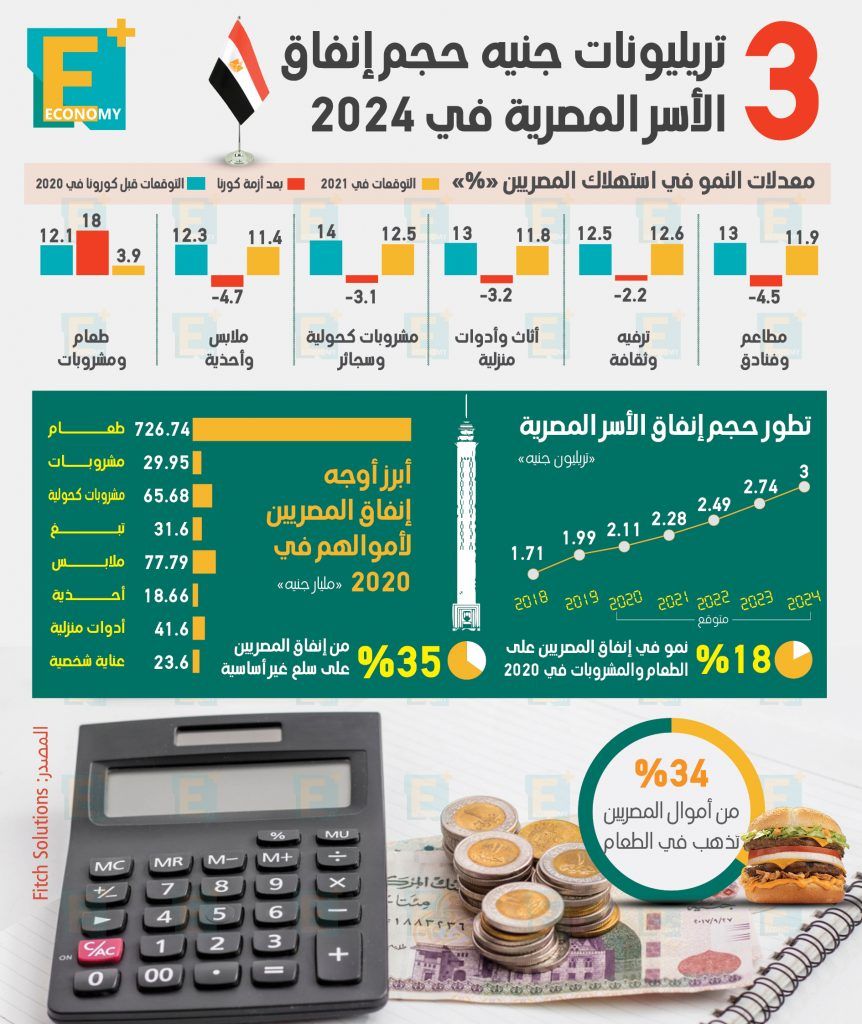 انفاق الاسر المصرية