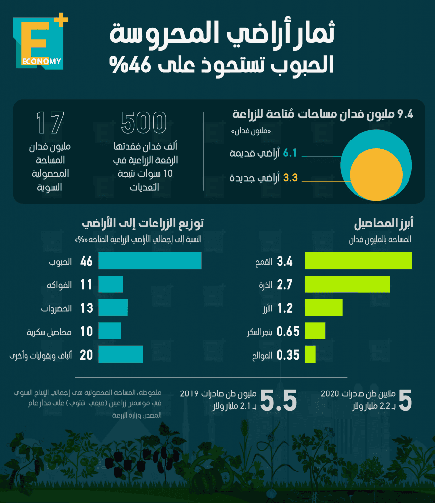 ثمار أراضي المحروسة الحبوب تستحوذ على 46%‎‎