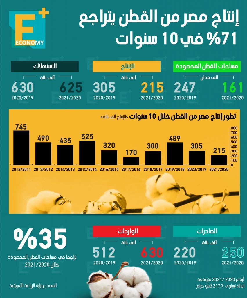 القطن‎‎