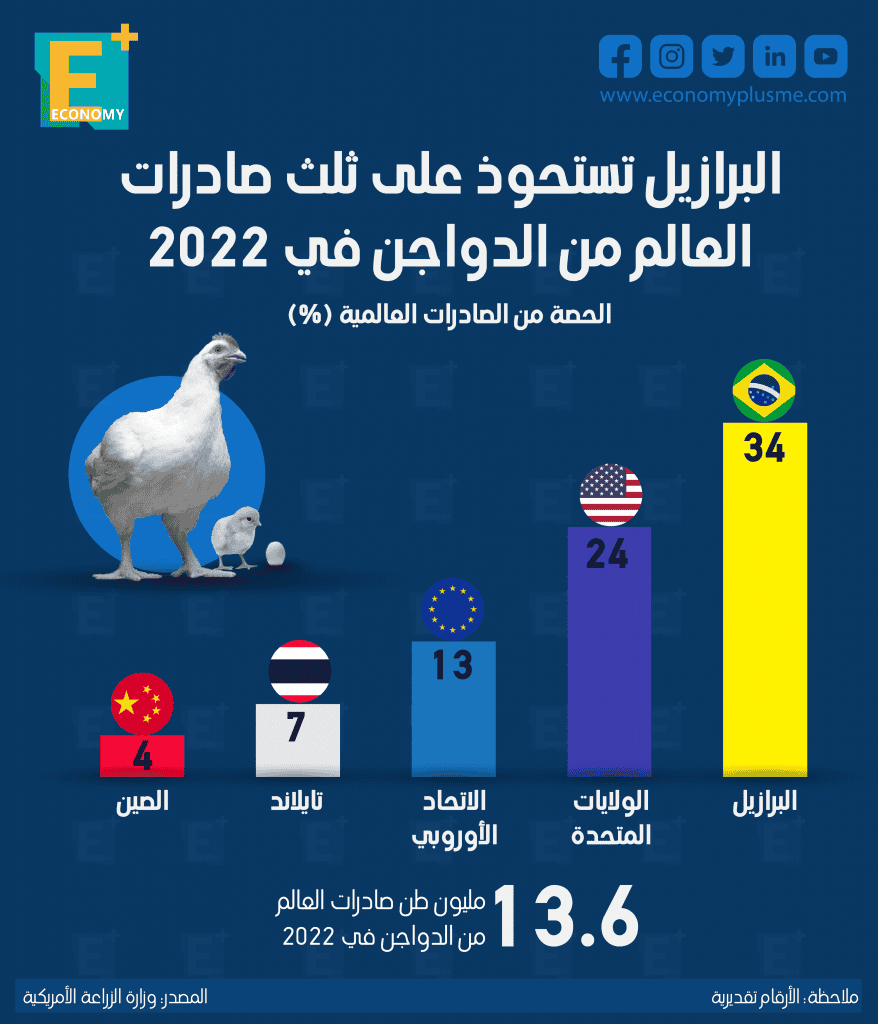 الدواجن