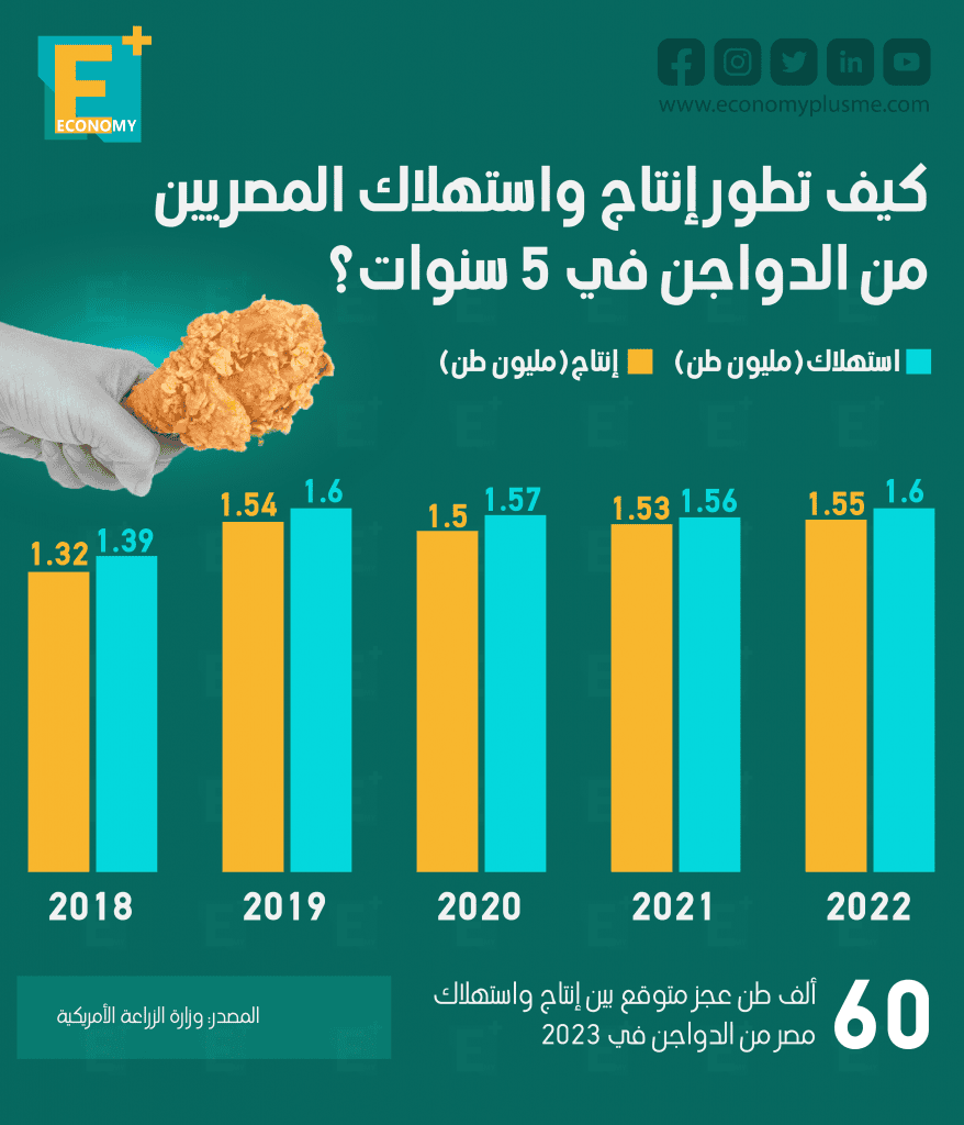 تطور إنتاج واستهلاك المصريين من الدواجن‎‎