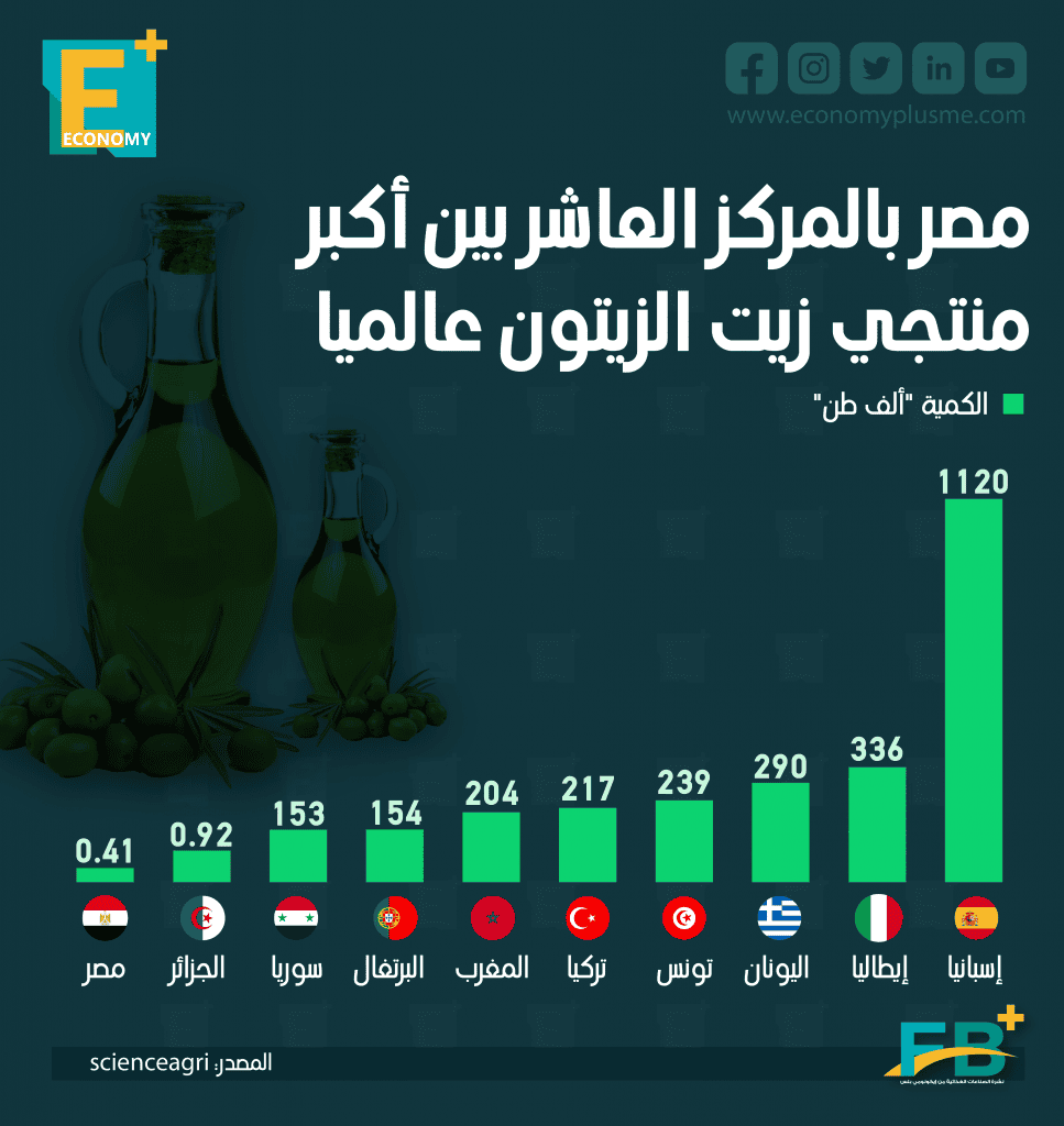 زيت الزيتون