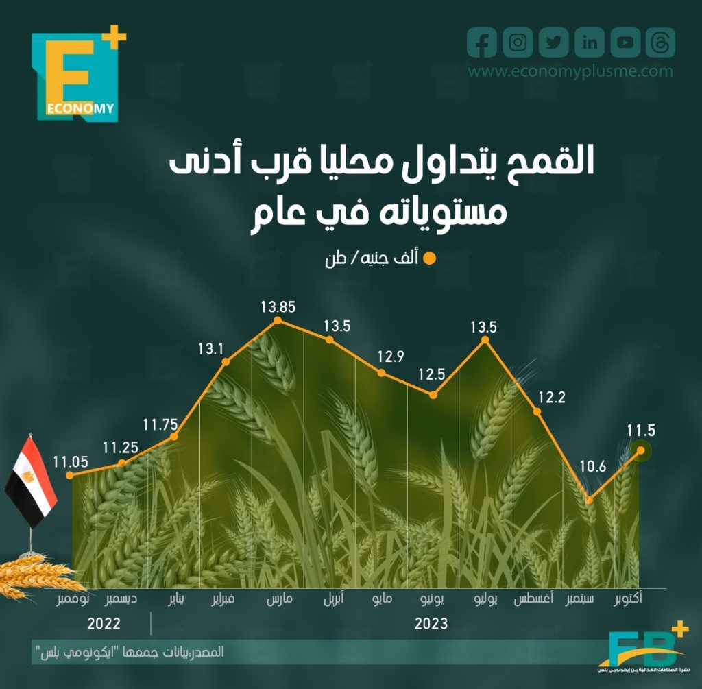 القمح