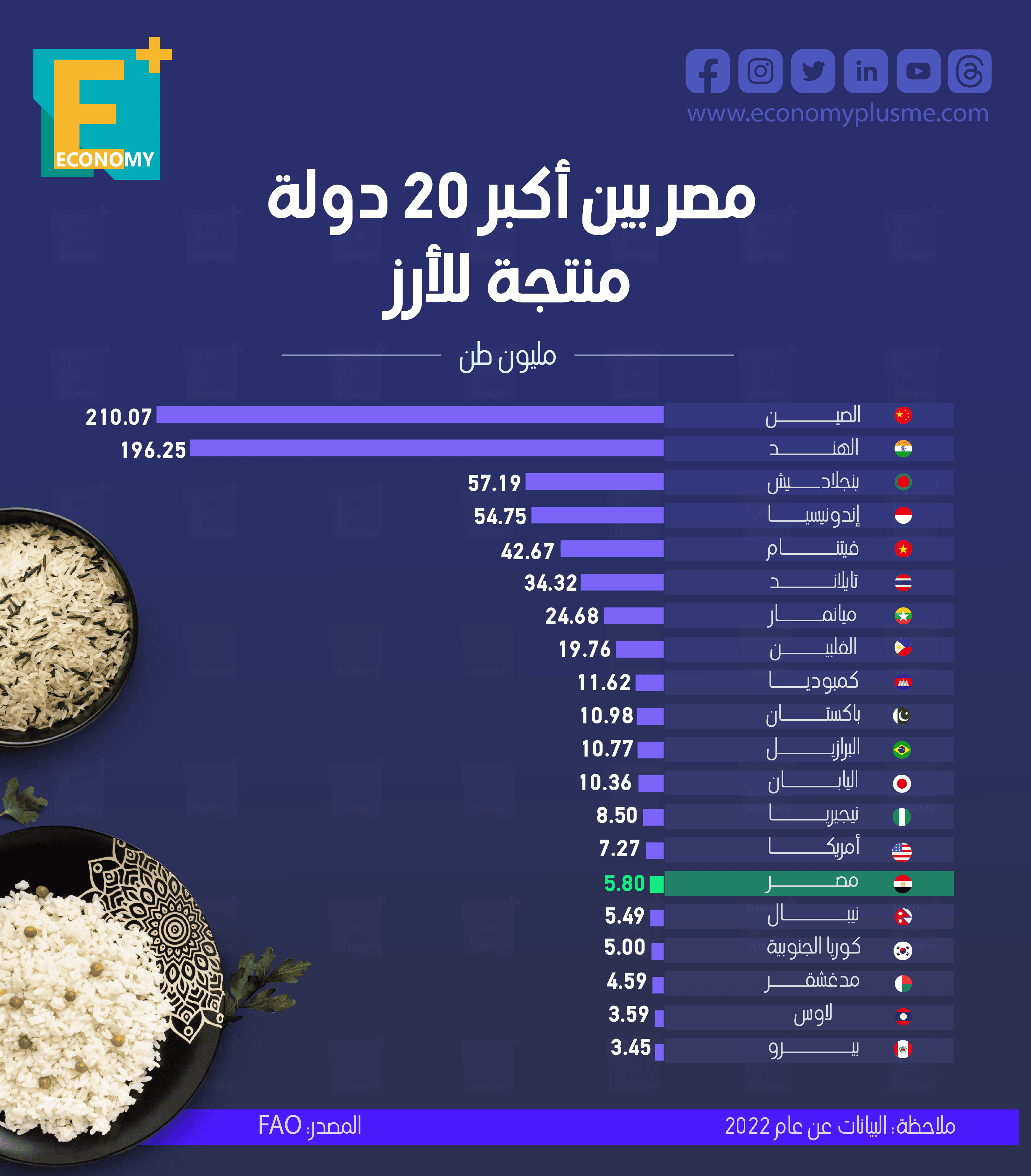 الأرز