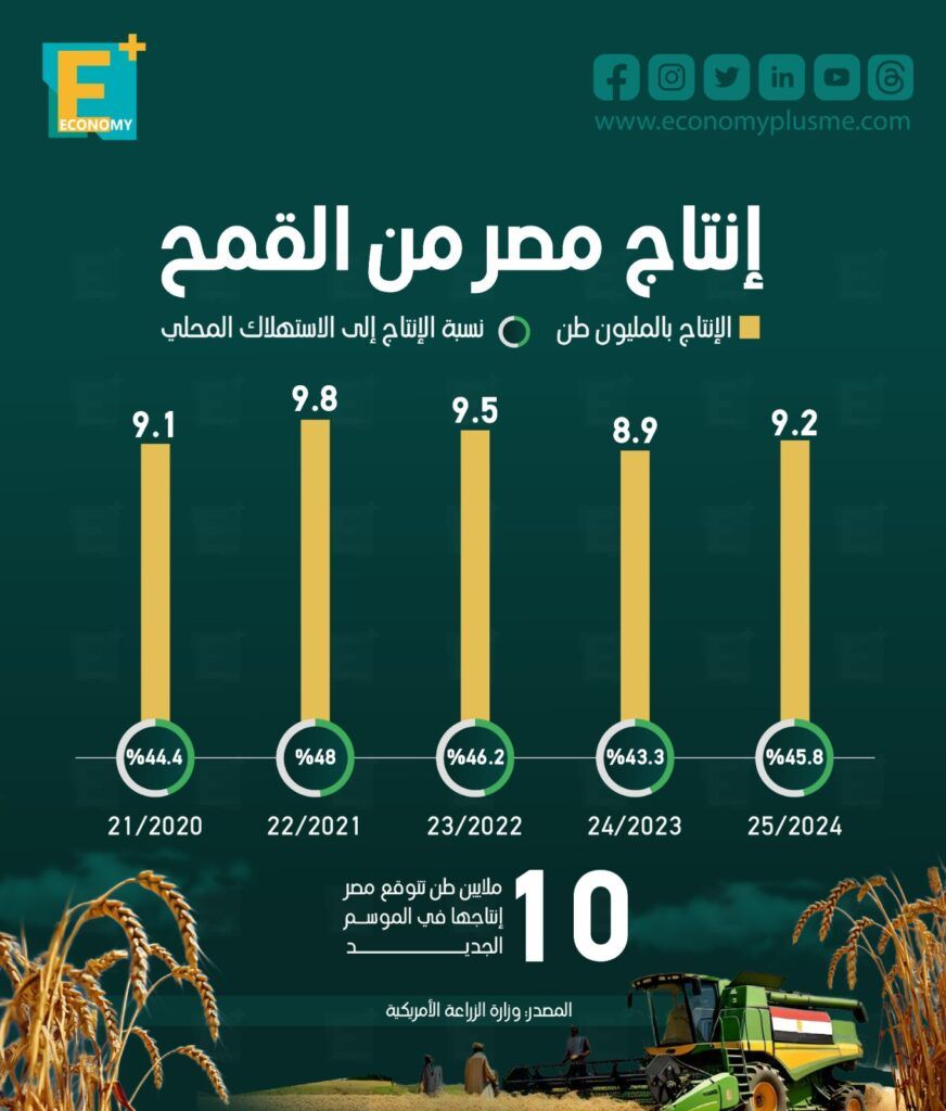 إنتاج القمح