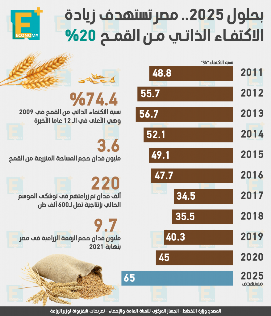 القمح