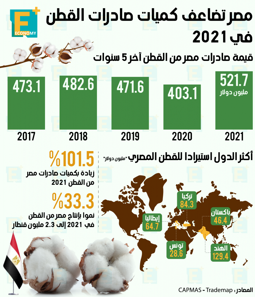 قطن مصر